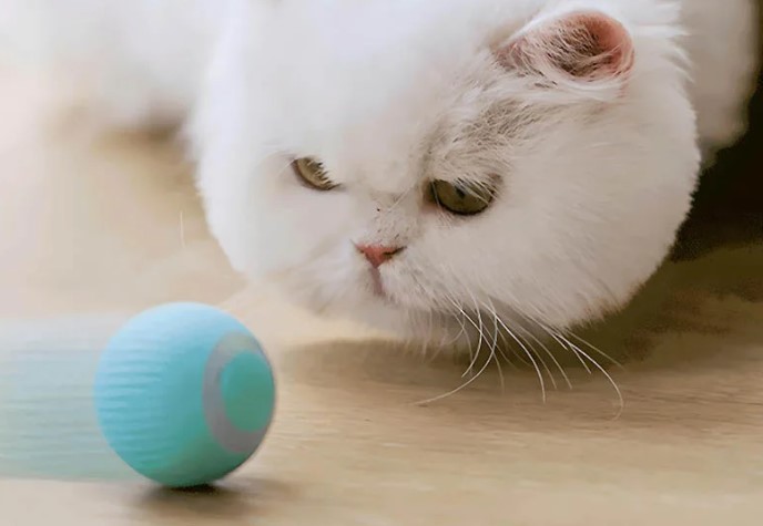 persion - innovative electric ball